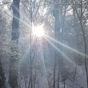 Meet your Posher, Melanie